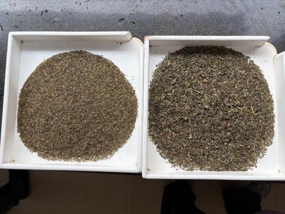 Premium Chunmee Green Tea 41022AAAAA | Thé Vert Haut De Gamme Pour Accueil D'Hôtes factory